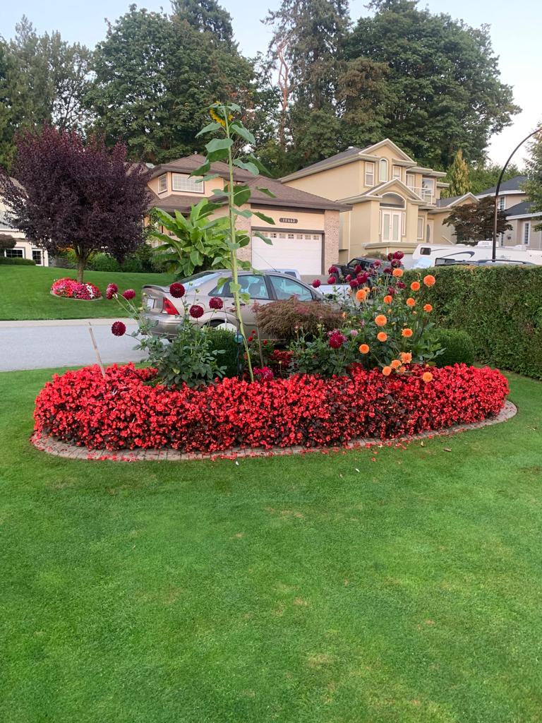 Green Globe Gardening Services | 10436 Tamarack Crescent, Maple Ridge, BC V2W 1B5, Canada | Phone: (778) 238-2735