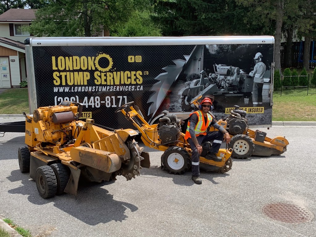 London Stump Services | 22 Masefield Crescent, London, ON N5V 1N1, Canada | Phone: (226) 448-8171