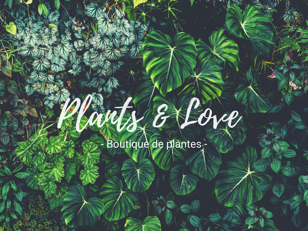 Plants & Love Shawinigan | 1120 128e Rue, Shawinigan-Sud, QC G9P 4A8, Canada | Phone: (418) 326-0795