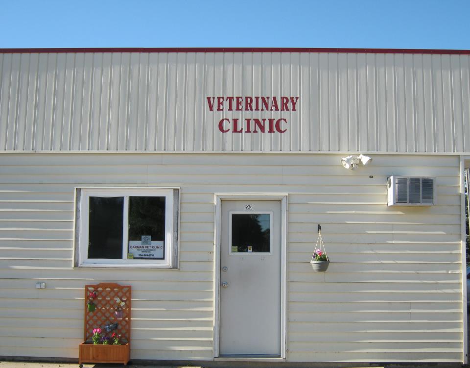 Carman Vet Clinic | 195 Main St S #1, Carman, MB R0G 0J0, Canada | Phone: (204) 745-3127