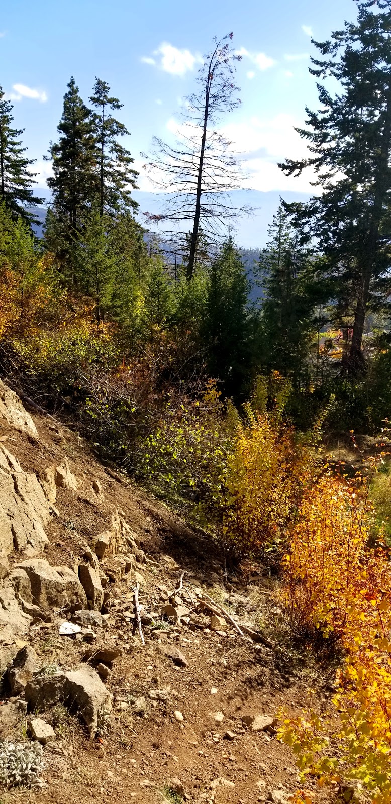 Carrot Mountain Trailhead | Central Okanagan G, BC V4T 2V2, Canada