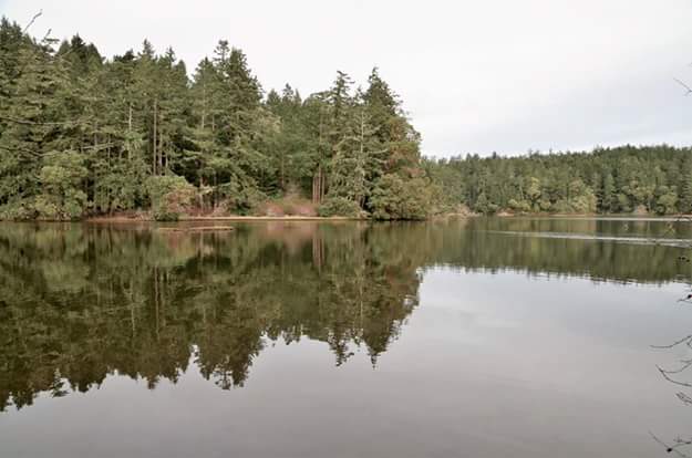 Wittys Lagoon Regional Park Nature House | 4115 Metchosin Rd, Victoria, BC V9C 3Z6, Canada | Phone: (250) 474-2454