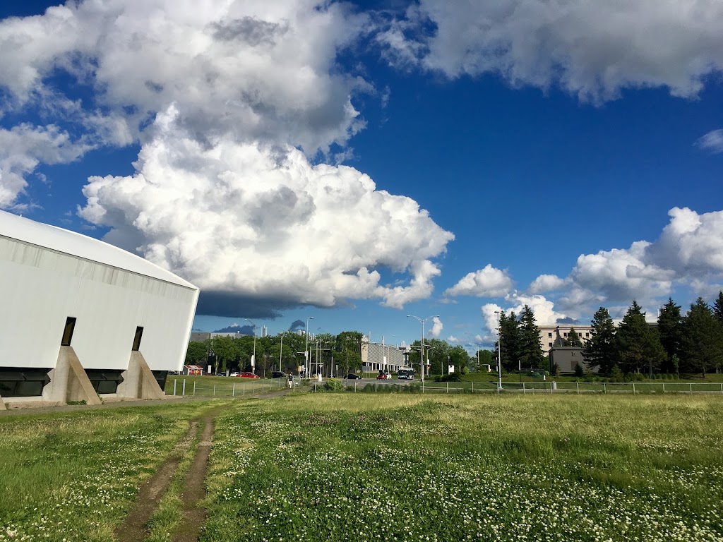 Stade Telus - Université Laval | 2380 Rue du Peps, Québec, QC G1V 0C2, Canada | Phone: (418) 656-2131