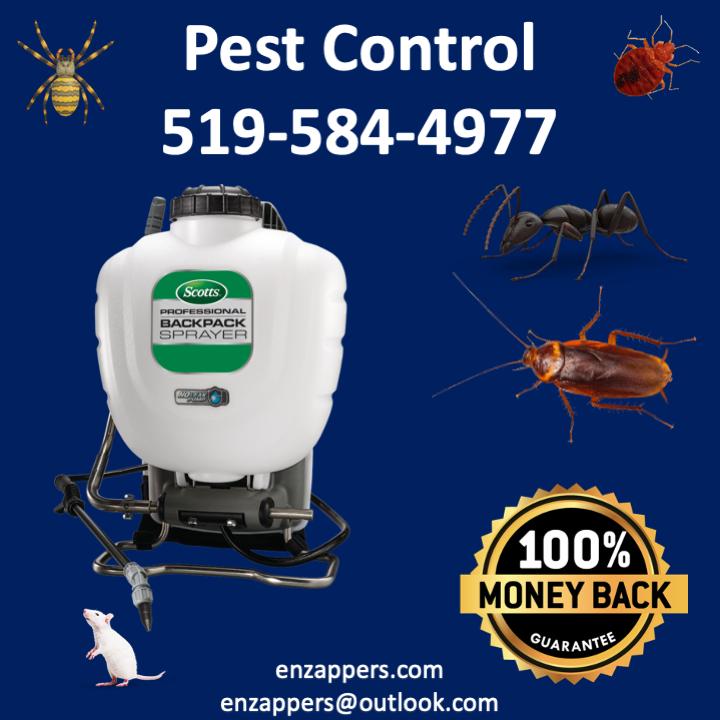 enzappers pest control services Ontario | 119 Gail St, Cambridge, ON N1R 7P8, Canada | Phone: (519) 584-4977
