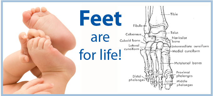 Sole Touch Therapies Reflexology | 1304 Hamilton Regional Rd 8, Stoney Creek, ON L8E 5K5, Canada | Phone: (905) 730-7365