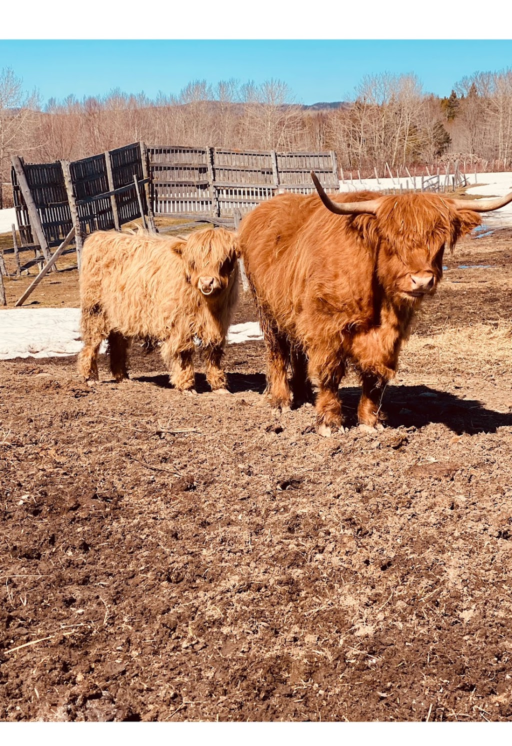 Ferme ÉcoLand des Basques | 20 Rte 132 E, Trois-Pistoles, QC G0L 4K0, Canada | Phone: (418) 712-0336