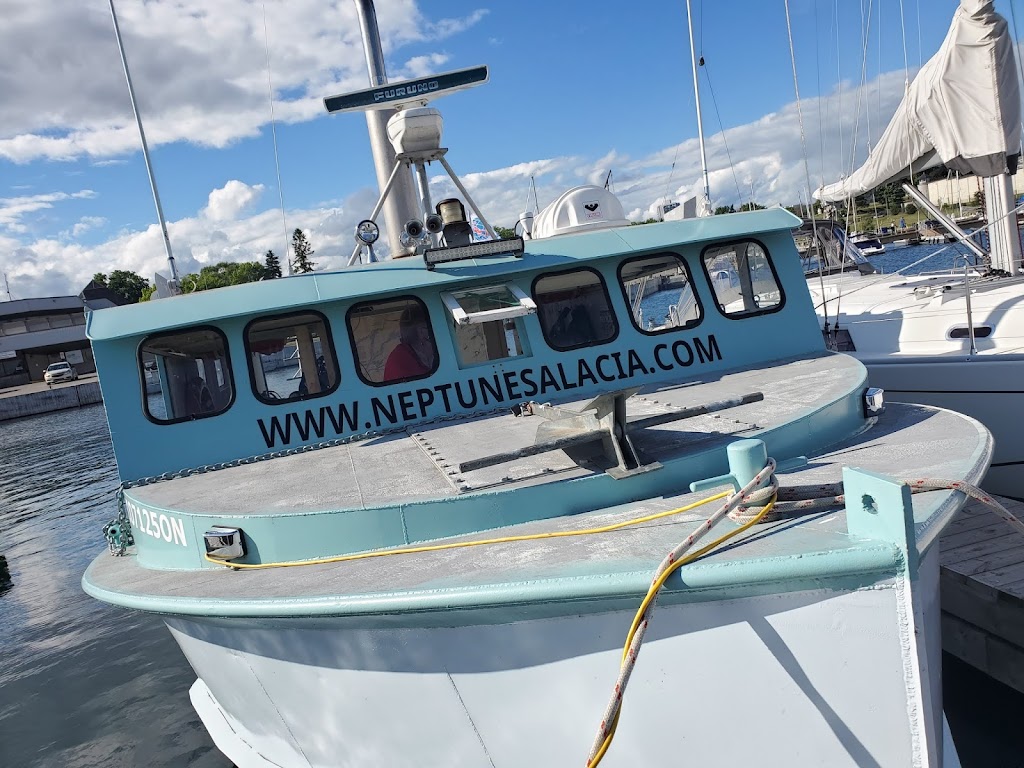 Neptune & Salacia Diving | 53 Yonge St, Kingston, ON K7M 6G4, Canada | Phone: (613) 777-6698