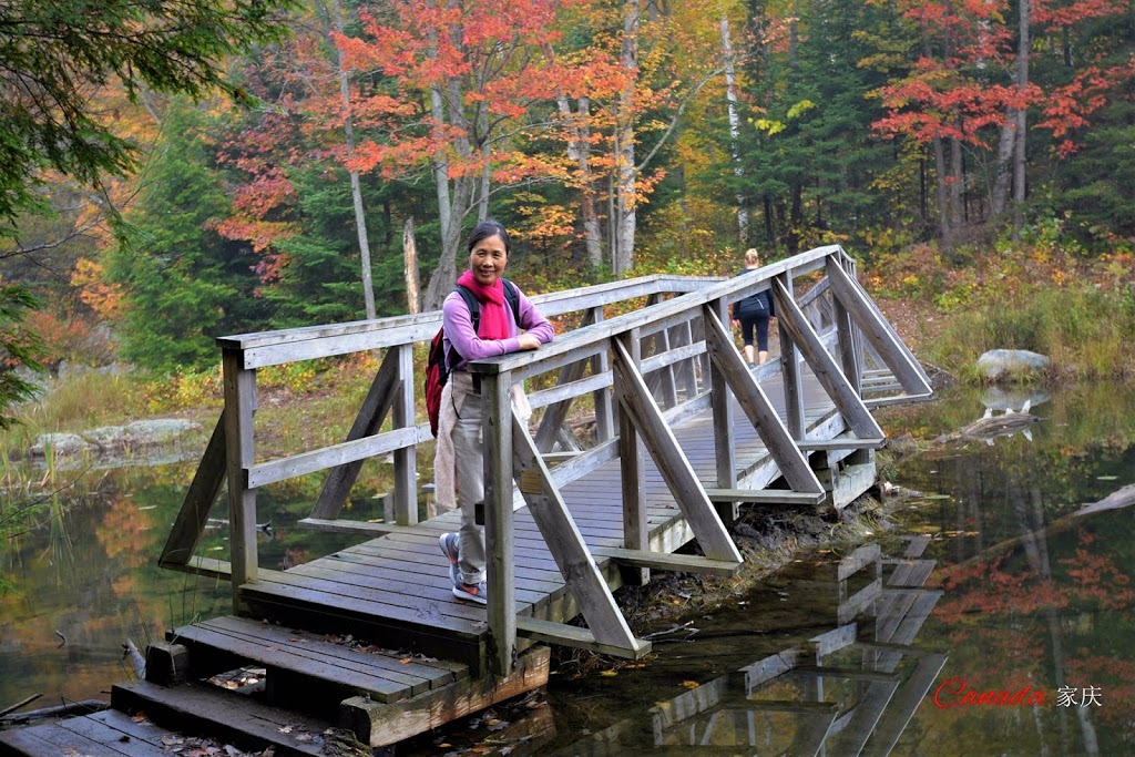 Kakakise Wood Bridge | Killarney, ON P0M, Canada