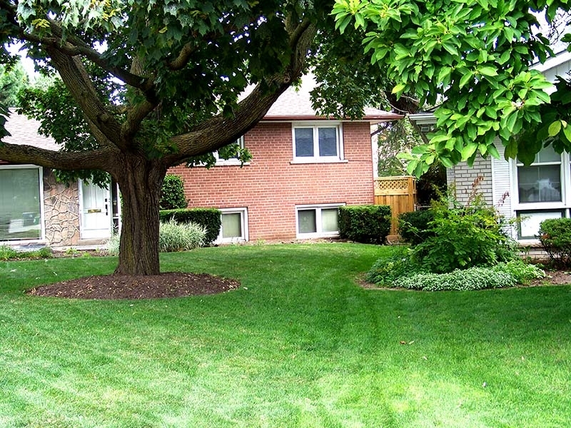 The Lawn Man | 11 Wareside Rd, Etobicoke, ON M9C 3B1, Canada | Phone: (416) 621-6534