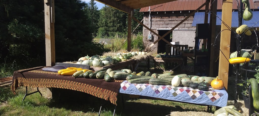 Lens organic squash | Kirby Rd, Courtenay, BC V9J 1T3, Canada | Phone: (778) 585-9826