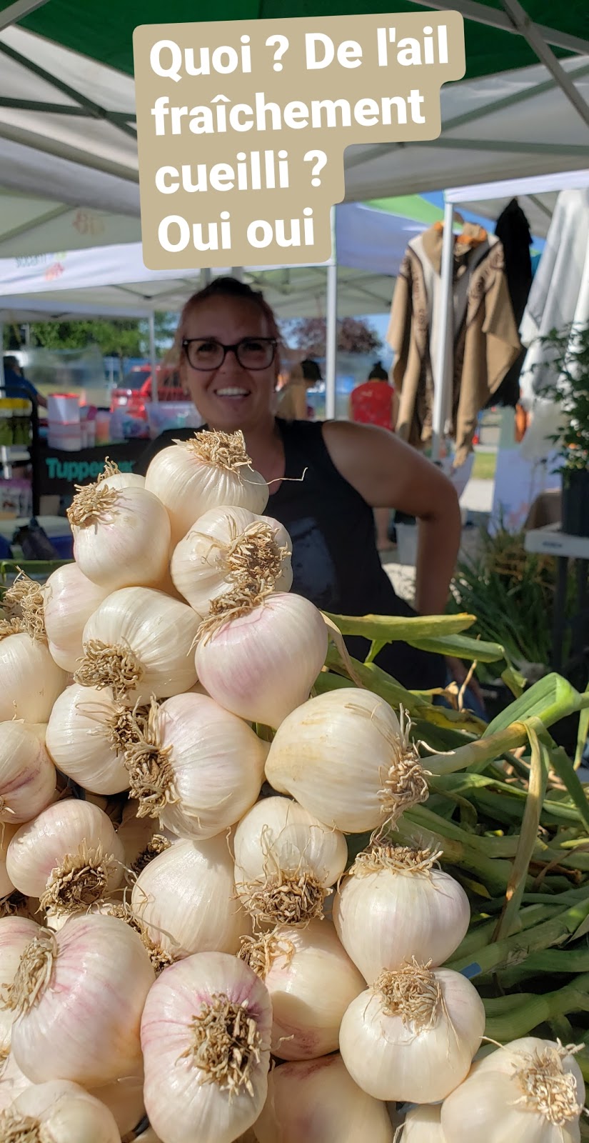 Marché de Noël de | 801 Boulevard des Seigneurs, Terrebonne, QC J6W, Canada | Phone: (450) 471-3735