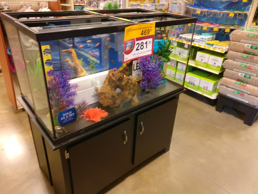 PetSmart | 1210 Castlemore Ave, Markham, ON L6E 0H7, Canada | Phone: (905) 209-8078