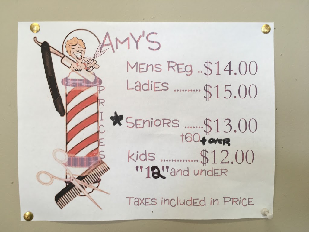 Amys Place | 455 Ridge Rd, Stirling, ON K0K 3E0, Canada | Phone: (613) 827-4923