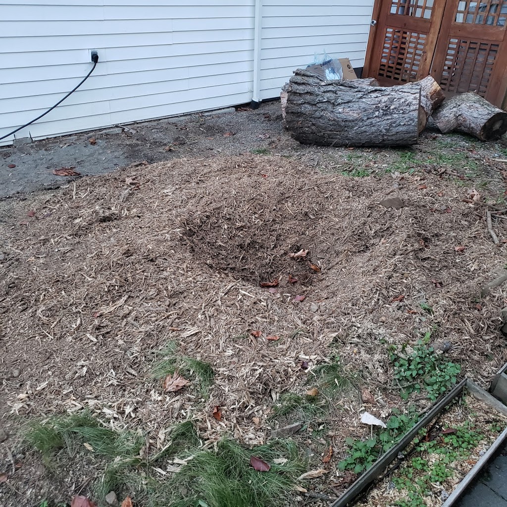 Chip It Stump Removal ltd | 37138 Dawson Rd, Abbotsford, BC V3G 2K9, Canada | Phone: (604) 855-1436