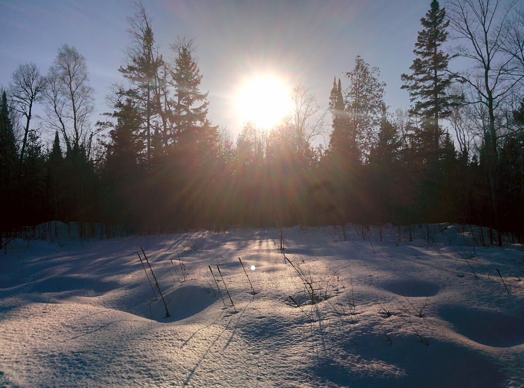 Kawartha Nordic Ski Club | Nordic Ski Ln, North Kawartha, ON K0L 2H0, Canada | Phone: (705) 931-5672