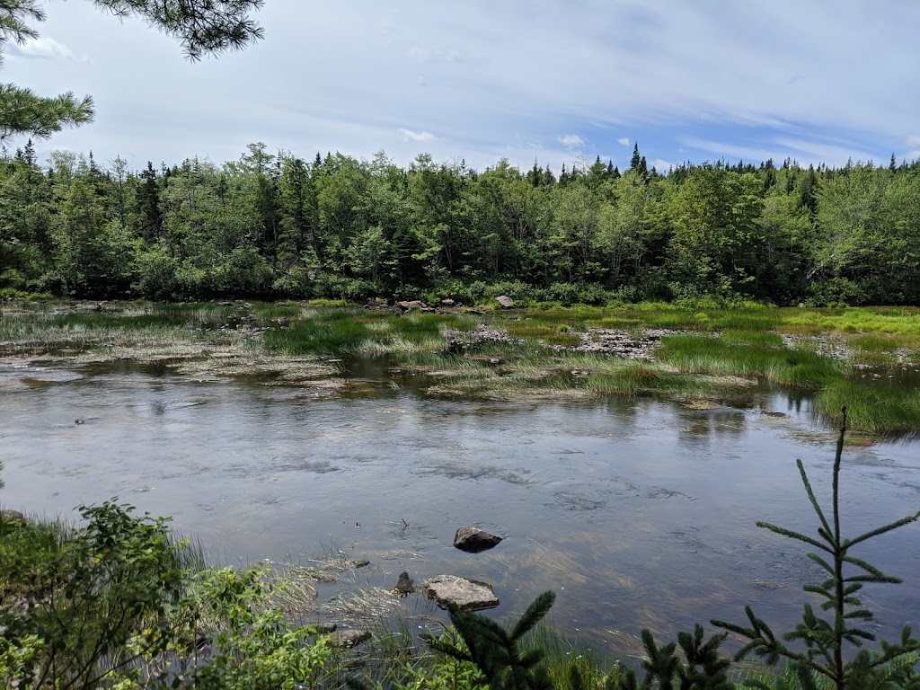 St Marys River Association Interpretive Centre | 8404 Nova Scotia Trunk 7, Sherbrooke, NS B0J 3C0, Canada | Phone: (902) 522-2099