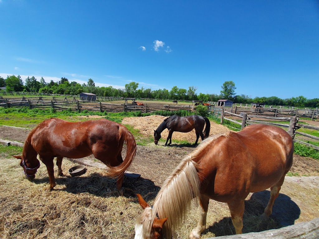 Heritage Stables | 620 Heritage Dr, Merrickville, ON K0G 1N0, Canada | Phone: (613) 229-0759