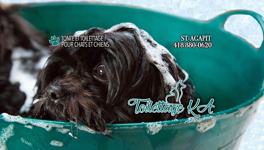 Toilettage KA | 1094 Rue Centrale, Saint-Agapit, QC G0S 1Z0, Canada | Phone: (418) 880-0620