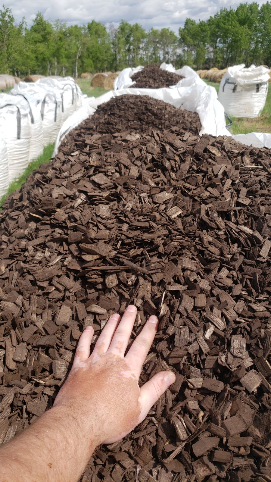 Mulch People | Near Range Rr 201, Stettler, AB T0C 2L0, Canada | Phone: (403) 740-3610