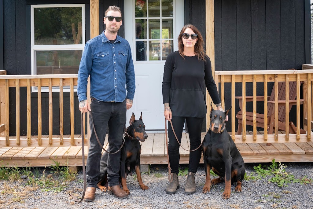 Black Hill Dobermans | 182 Morgan Rd, Bloomfield, ON K0K 1G0, Canada | Phone: (343) 263-3552