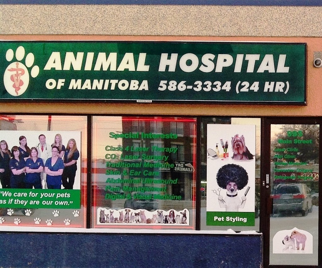 Animal Hospital of Manitoba | 995 Main St, Winnipeg, MB R2W 3P8, Canada | Phone: (204) 586-3334