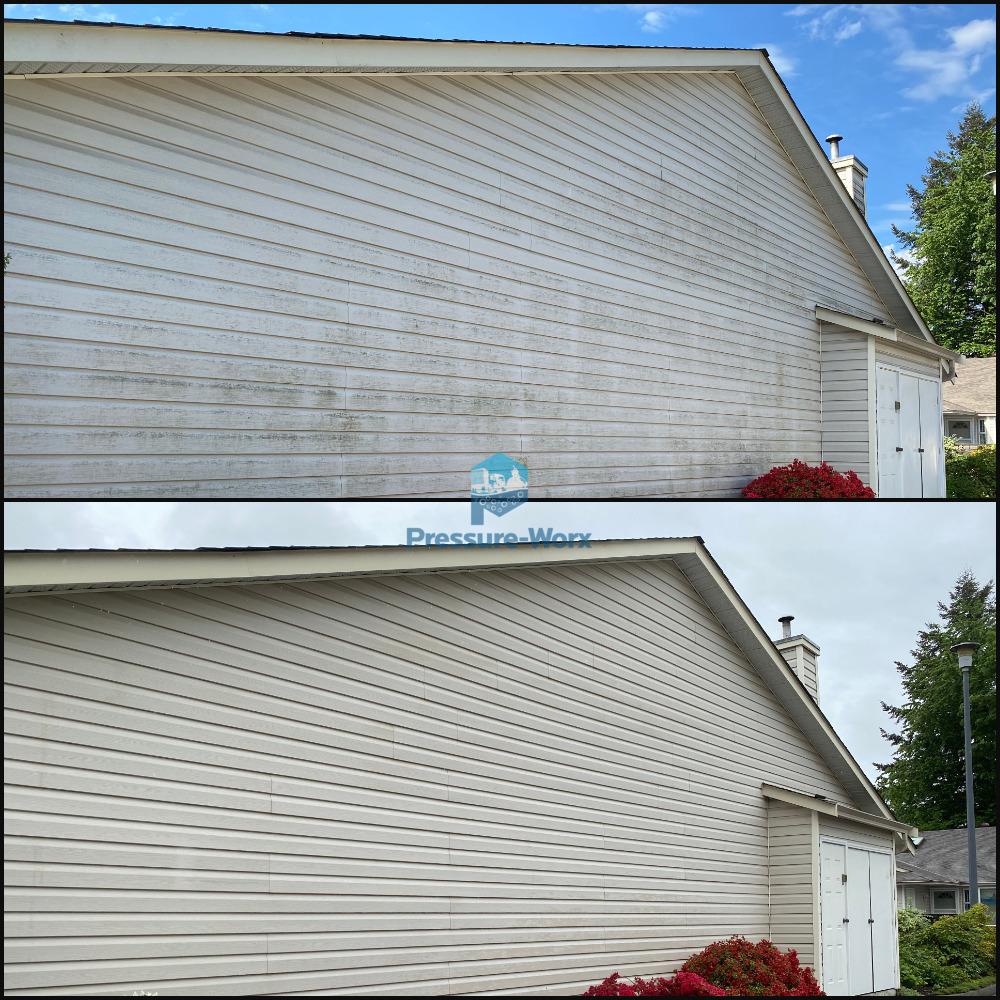 Pressure-Worx Power Washing | 19270 119 Ave #3, Pitt Meadows, BC V3Y 2J8, Canada | Phone: (604) 306-7726