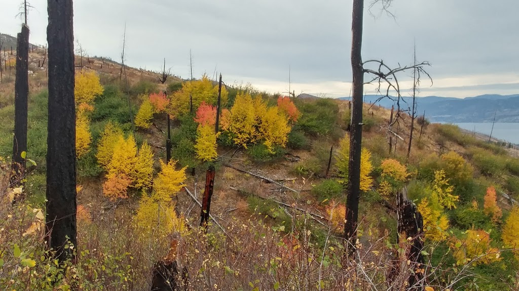 Cedar Mountain Regional Park | Southwest Mission, Kelowna, BC V1W, Canada