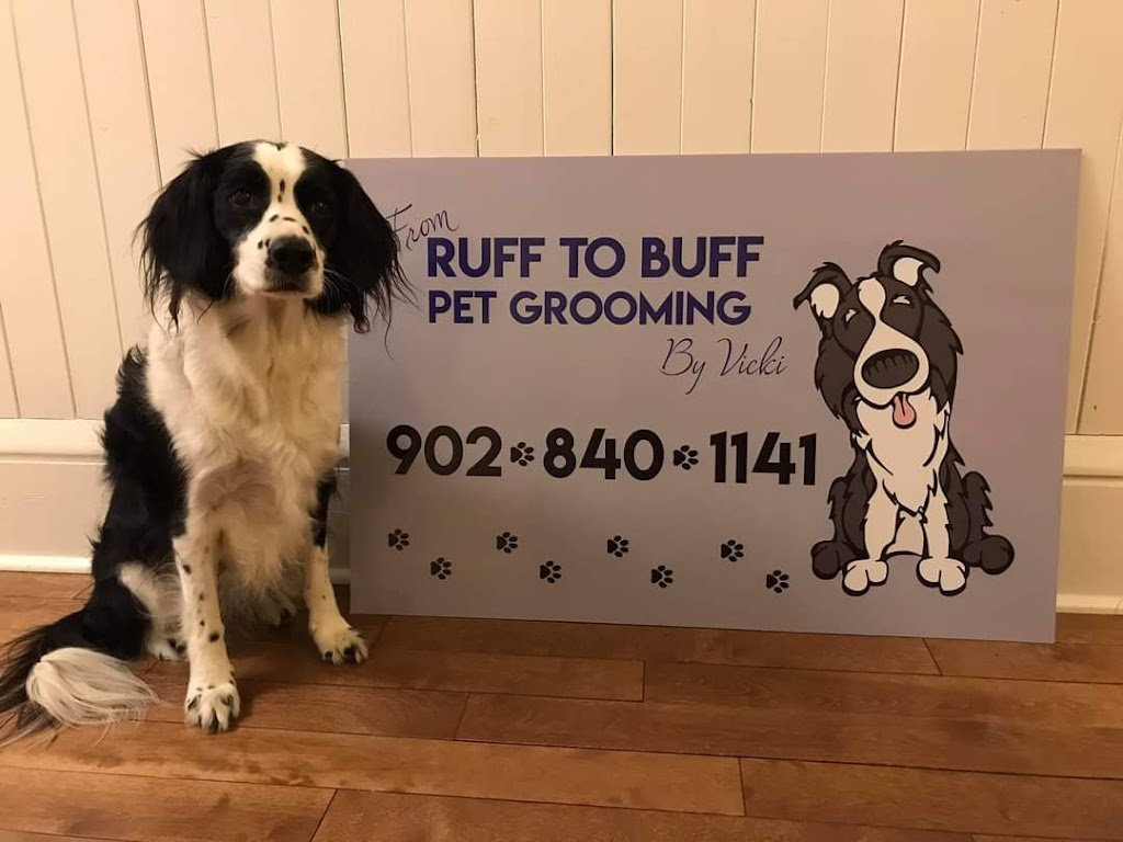 From Ruff To Buff Pet Grooming By Vicki | 10624, Hwy 1, Paradise, NS B0S 1M0, Canada | Phone: (902) 840-1141