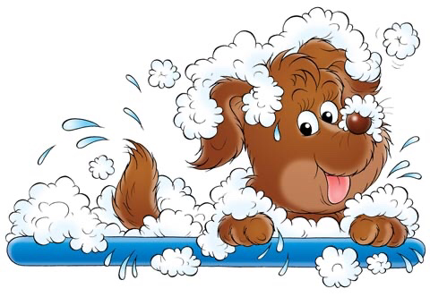 Paw Prints Dog Grooming | 24 Pine Park Blvd, Everett, ON L0M 1J0, Canada | Phone: (705) 890-3300