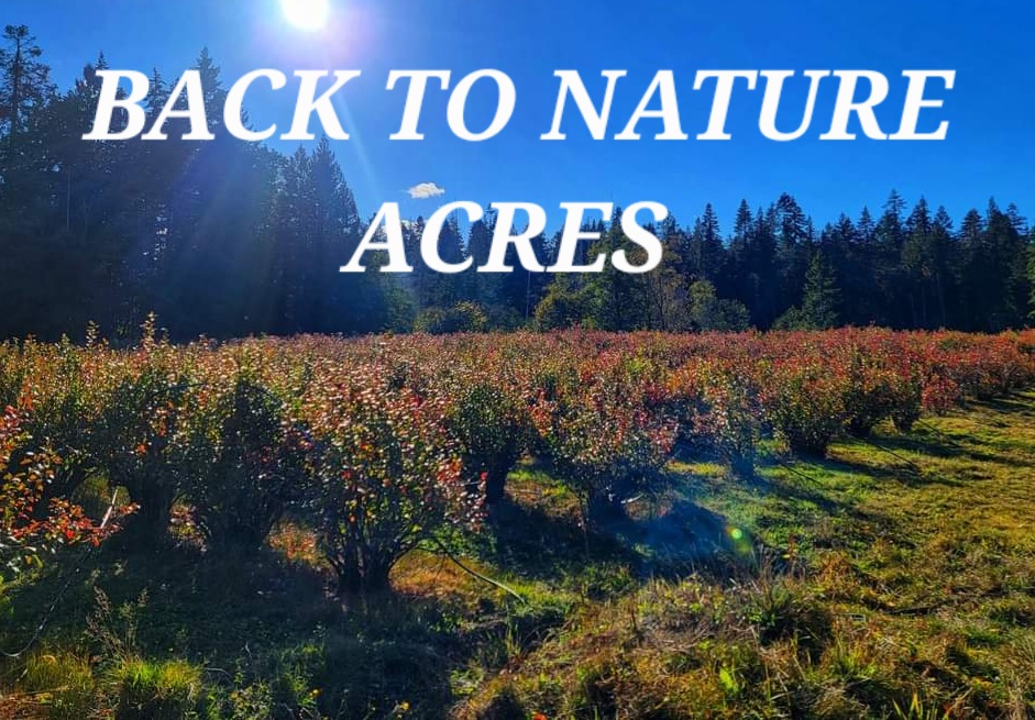 Back to Nature Acres | 3105 Frost Rd, Nanaimo, BC V9X 1S7, Canada | Phone: (778) 885-3407