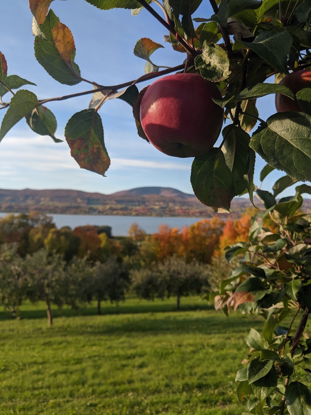 Ferme Le Beau Markon | 2704 Chem. Royal, Sainte-Famille, QC G0A 3P0, Canada | Phone: (418) 829-0289