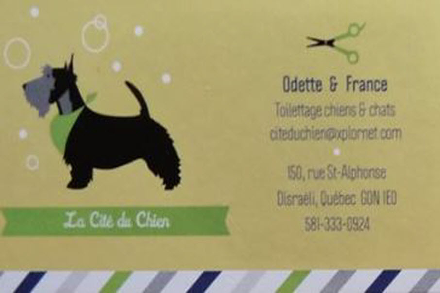 La Cité du Chien | 150 Rue St Alphonse, Disraeli, QC G0N 1E0, Canada | Phone: (581) 333-0924