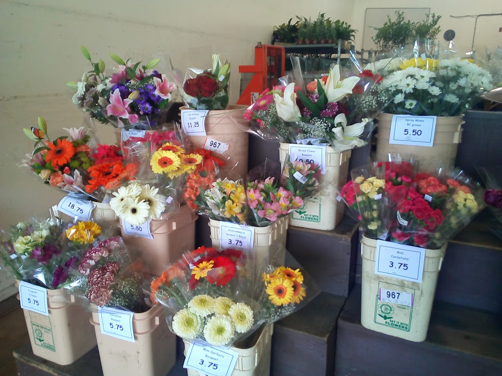 Coleman Flowers | 2075 Henry Ave, Sidney, BC V8L 1T2, Canada | Phone: (250) 655-0906