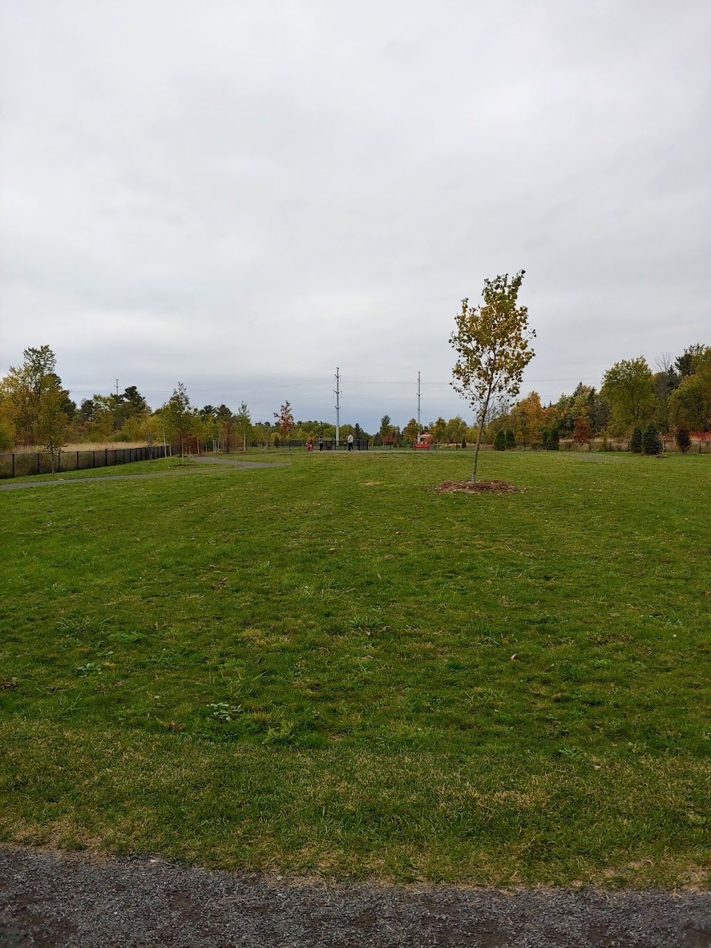 Coyote Trail Park | 1829 Trim Rd, Orléans, ON K4A 3P6, Canada | Phone: (613) 580-2400