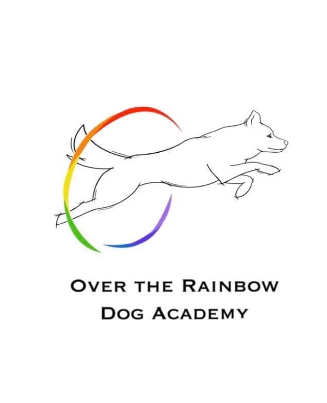 Over the rainbow dog academy | 224 Chippawa Rd, Port Colborne, ON L3K 1T7, Canada | Phone: (289) 219-3655
