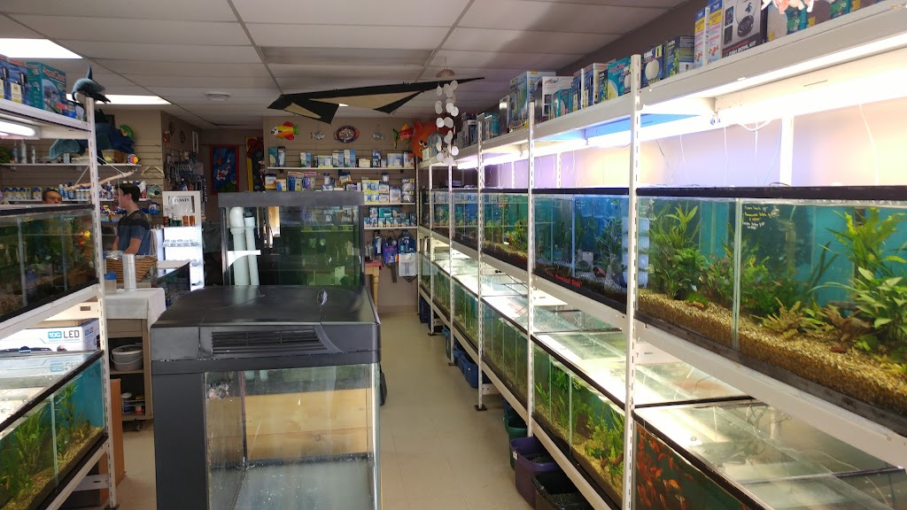 My Fish Tank | 1925 Bowen Rd #32, Nanaimo, BC V9S 1H1, Canada | Phone: (250) 585-5457