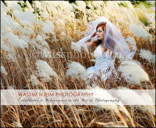 Njeim Photography: Montreal Wedding photographer | 8265 Bd Viau, Saint-Léonard, QC H1R 2T5, Canada | Phone: (514) 574-0690