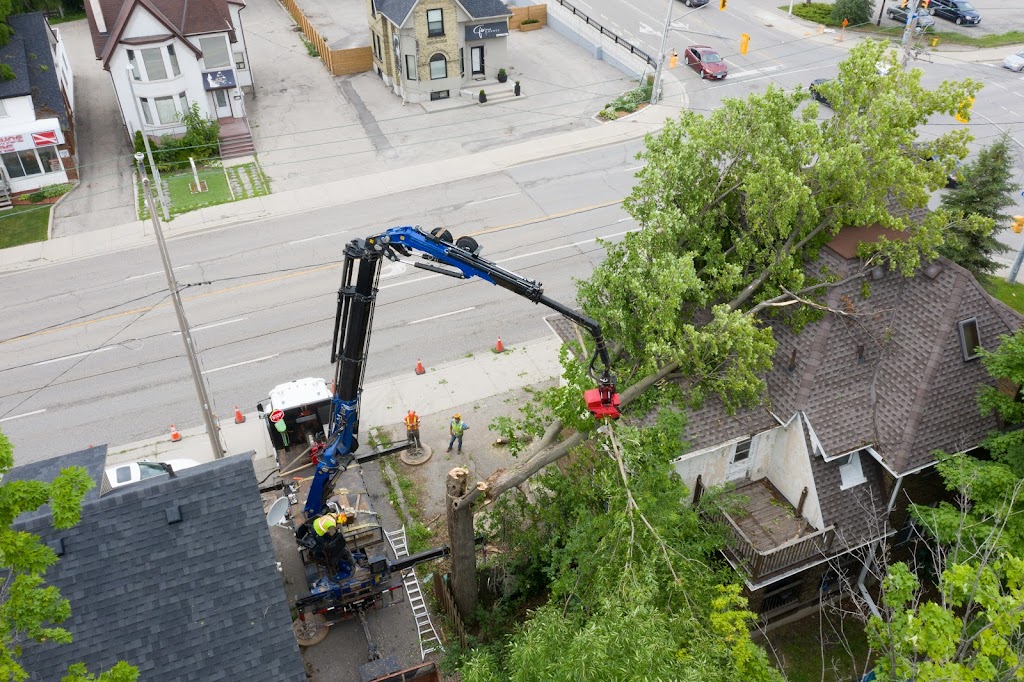 Florapine Tree Service Inc. | 8768 ON-6, Arthur, ON N0G 1A0, Canada | Phone: (519) 848-5889