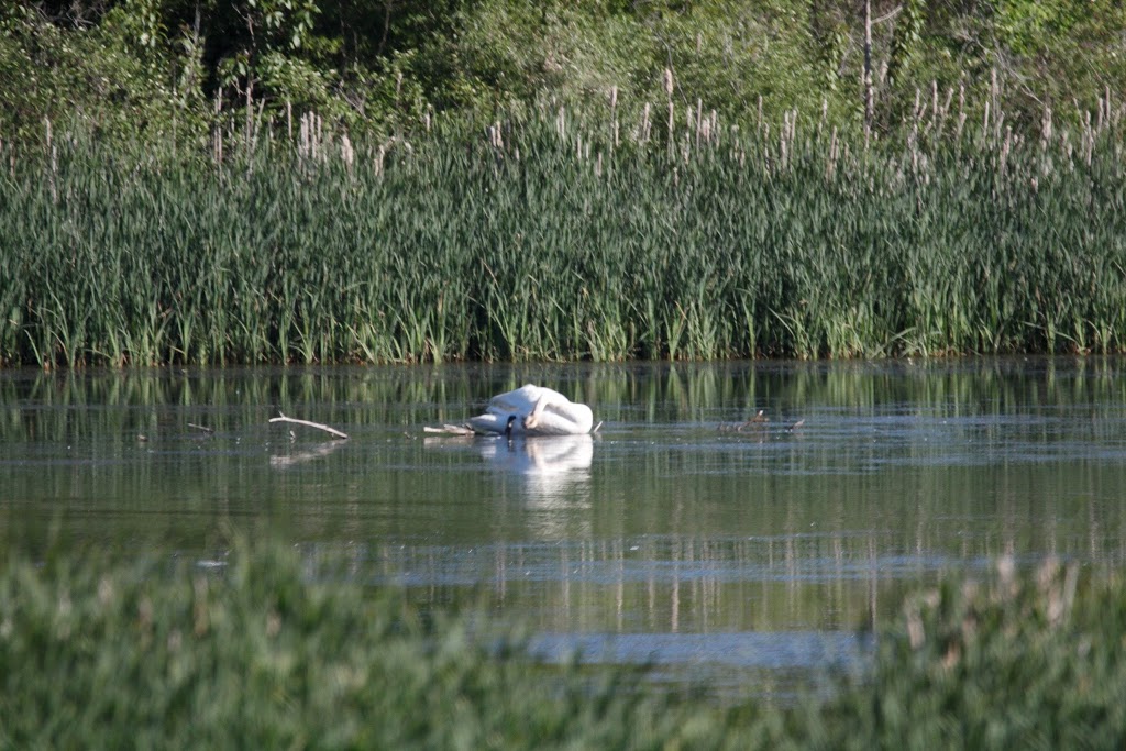 Atkinson Park | Aurora, ON L4G 6J5, Canada