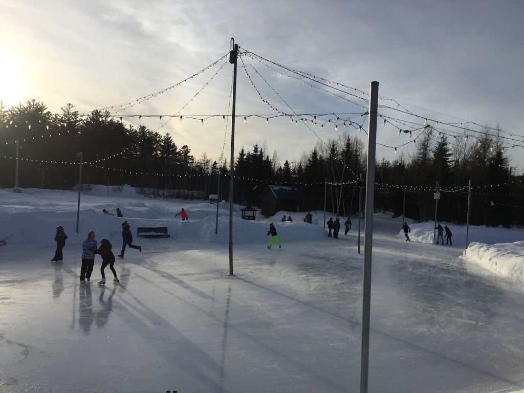 Patinoire de Shannon | 73 Chemin de Gosford, Shannon, QC G3S 0W4, Canada | Phone: (418) 844-3778