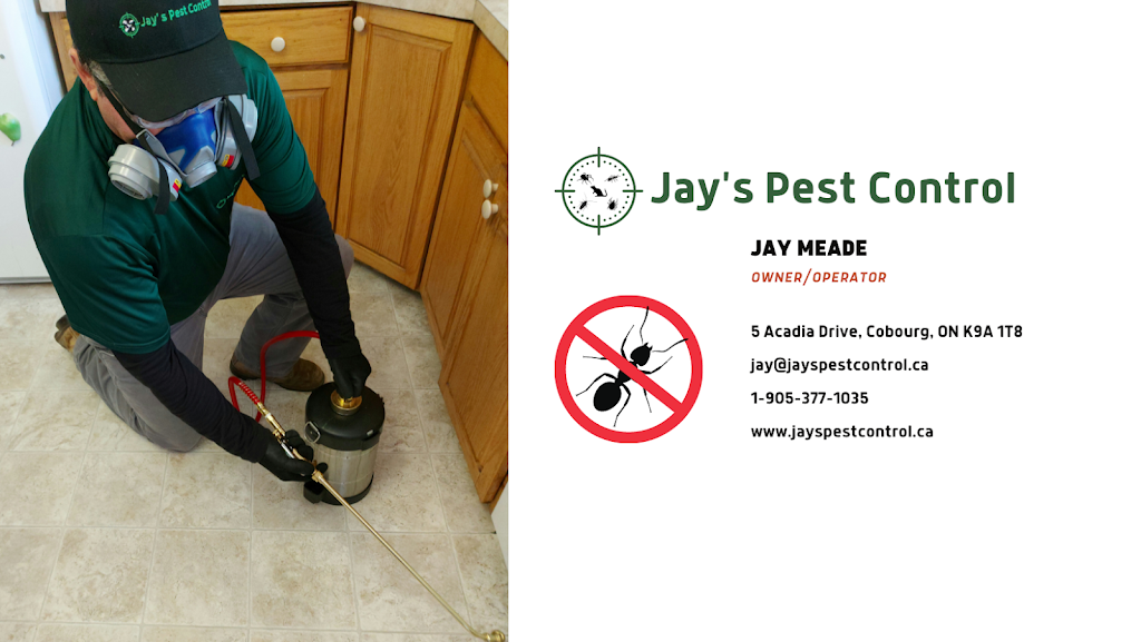 Jays Pest Control | 5 Acadia Dr, Cobourg, ON K9A 1T8, Canada | Phone: (905) 377-1035