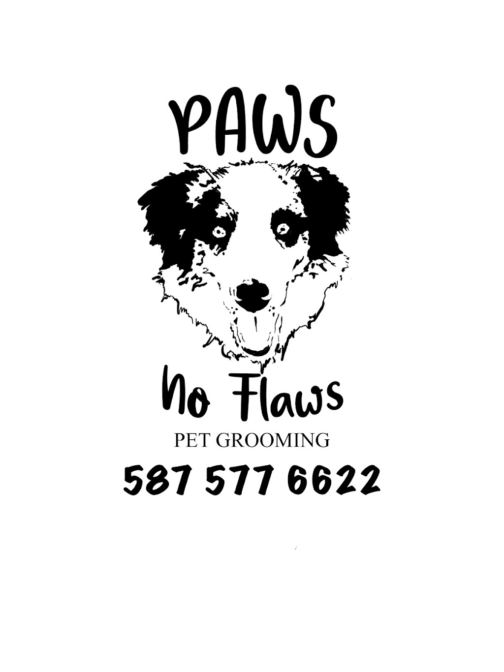 Paws No Flaws - Big Dogs, Big Jobs | 6 Springs Crescent SE, Airdrie, AB T4A 2C2, Canada | Phone: (587) 577-6622