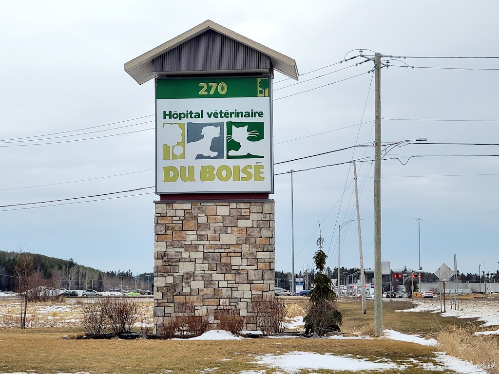 Veterinary Hospital Le Boisé | 270 Boul du Royaume E, Chicoutimi, QC G7H 0B9, Canada | Phone: (418) 696-1700