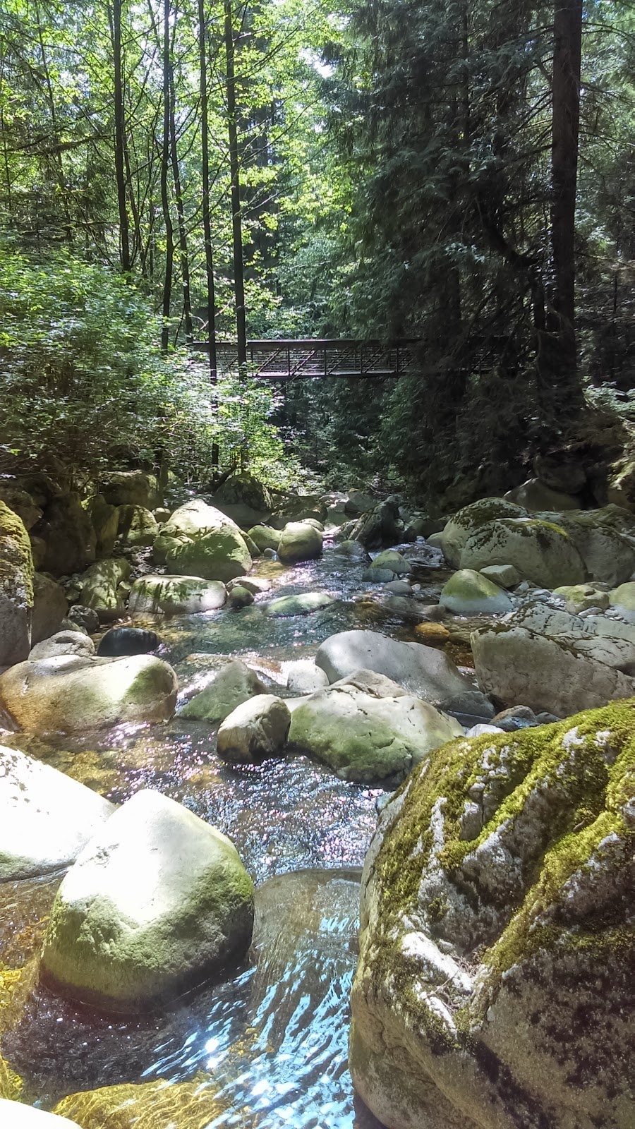 Baden Powell Trail | Baden Powell Trail, North Vancouver, BC V7R 4X4, Canada