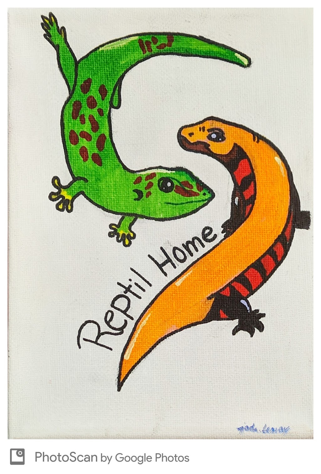 Reptilhome | 751 Rue Jean Cusson, Trois-Rivières, QC G8T 1K4, Canada | Phone: (819) 995-3904