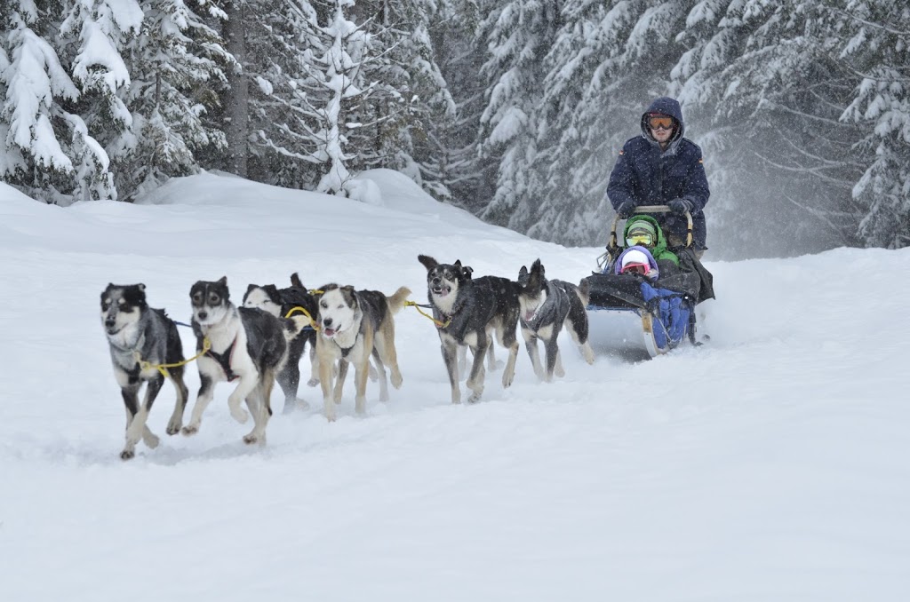 Blackcomb Dogsled Base | Callaghan Rd, Whistler, BC V0N1B0, Canada | Phone: (604) 932-6681