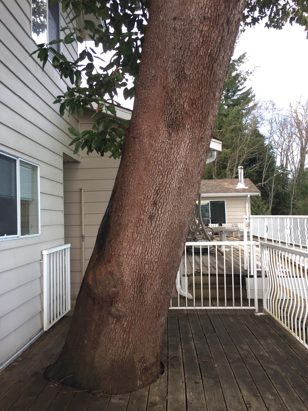 Thomson Tree Service | 35 Nanaimo River Rd, Nanaimo, BC V9X 1S5, Canada | Phone: (250) 701-2507