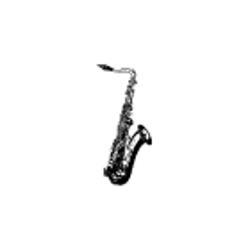 Cours de Saxophone Frédéric Roberge | 398 Rue de Verdun, Lévis, QC G6V 6H4, Canada | Phone: (418) 903-0559