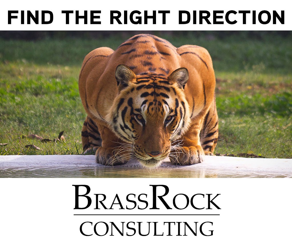 BrassRock Consulting | 1925 18 Ave NE suite 115, Calgary, AB T2E 7T8, Canada | Phone: (403) 536-9940