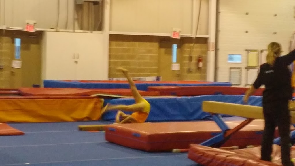 Cambridge Kips Gymnastics Club | 1458 Hamilton St, Cambridge, ON N3H 3G5, Canada | Phone: (519) 653-8509